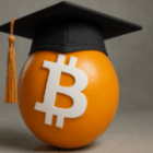 Spain’s University of the Hespérides Launches First Master’s in Bitcoin Program